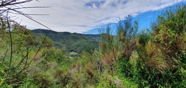 casa indipendente in vendita ad Alassio in zona Caso