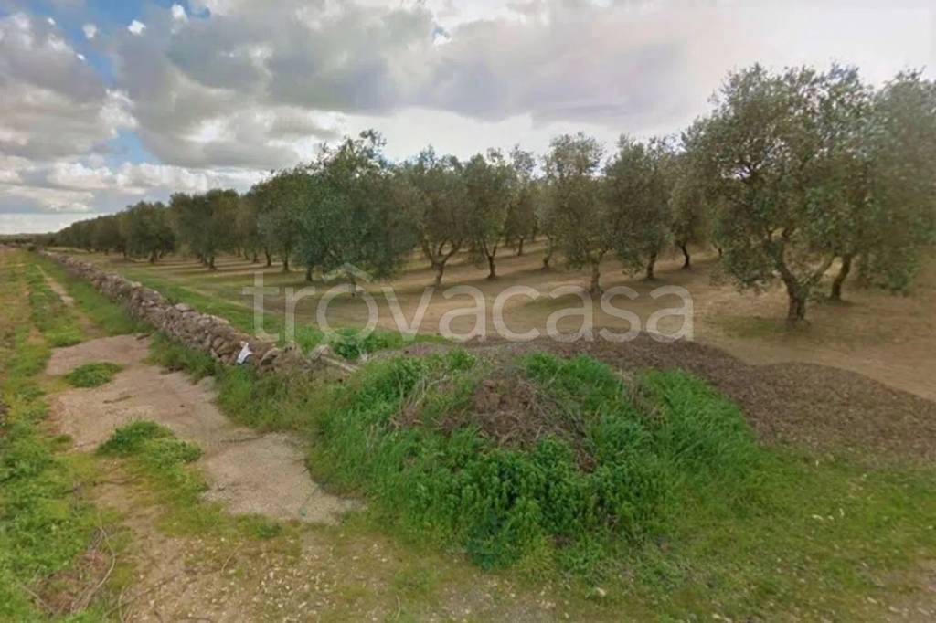 terreno agricolo in vendita ad Alassio
