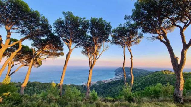 terreno agricolo in vendita ad Alassio