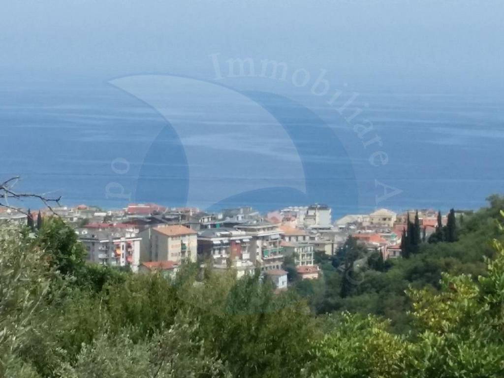 terreno agricolo in vendita ad Alassio in zona Moglio