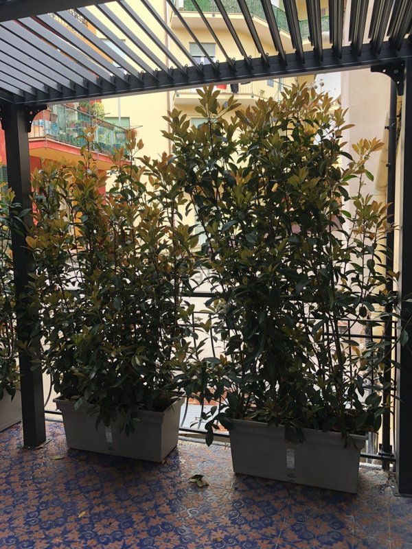 appartamento in vendita ad Alassio