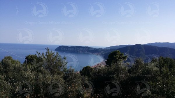 terreno agricolo in vendita ad Alassio in zona Solva