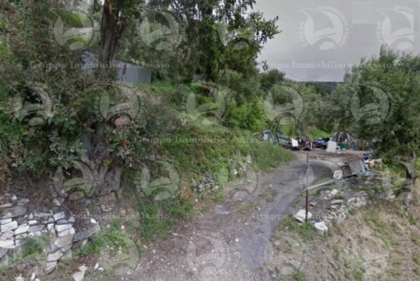 terreno agricolo in vendita ad Alassio in zona Solva