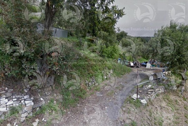 terreno agricolo in vendita ad Alassio in zona Solva