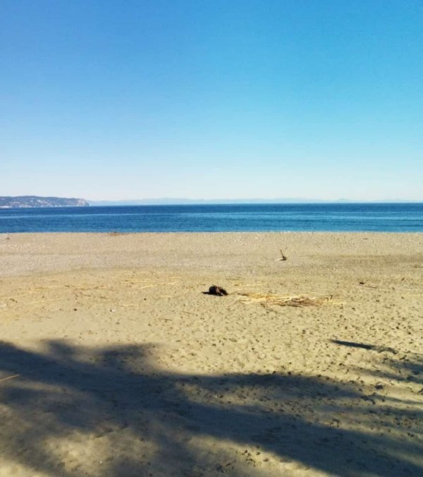 appartamento in vendita ad Alassio