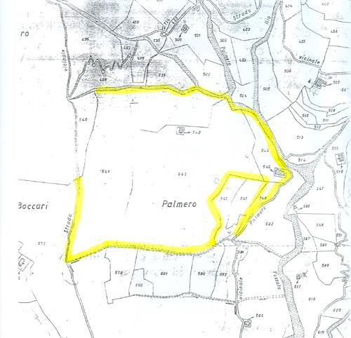 negozio in vendita ad Alassio