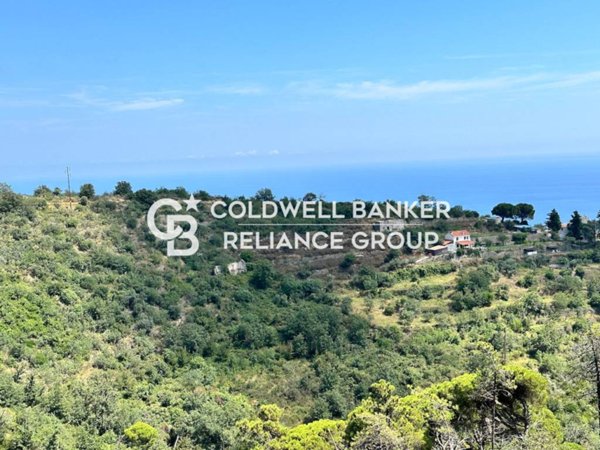 terreno agricolo in vendita ad Alassio in zona Caso