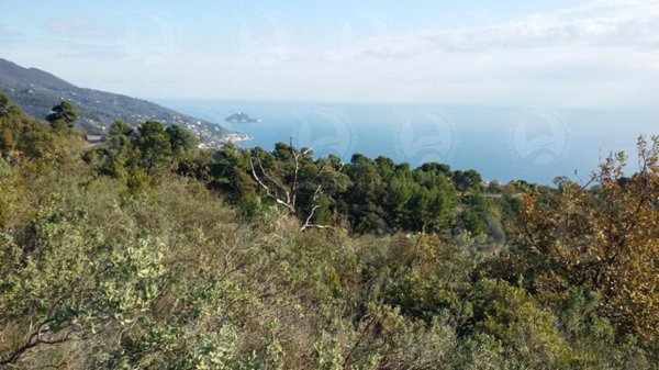 appartamento in vendita ad Alassio