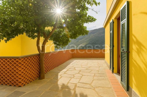 immagine annuncio 0 di 15