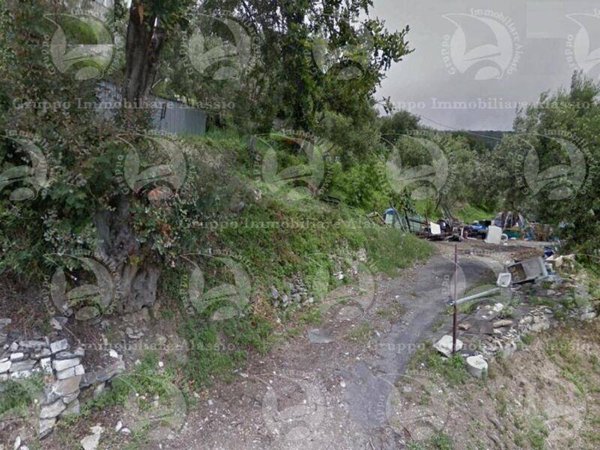 terreno agricolo in vendita ad Alassio in zona Solva
