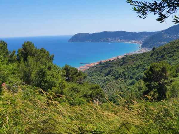 casa indipendente in vendita ad Alassio in zona Solva