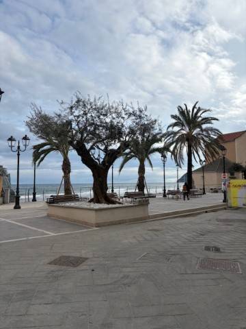 appartamento in vendita ad Alassio