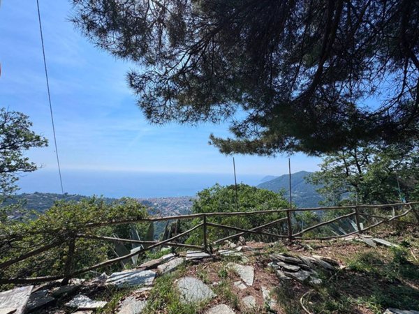 terreno agricolo in vendita ad Alassio