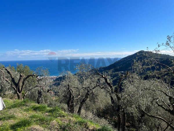 terreno agricolo in vendita ad Alassio in zona Solva