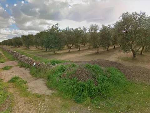 terreno agricolo in vendita ad Alassio in zona Moglio