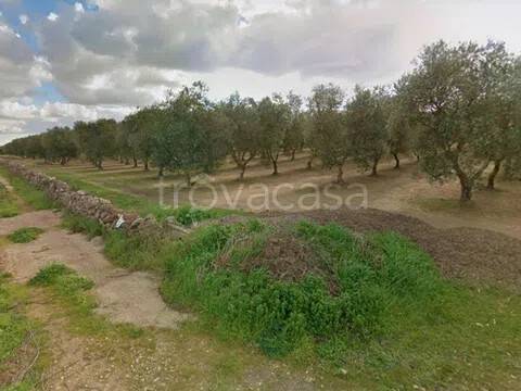 terreno agricolo in vendita ad Alassio in zona Moglio
