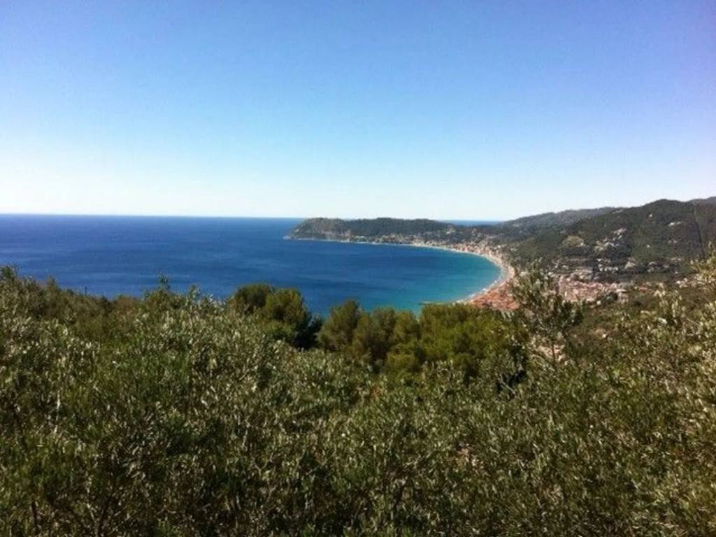 terreno agricolo in vendita ad Alassio in zona Solva