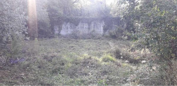 terreno agricolo in vendita ad Albenga in zona Lusignano
