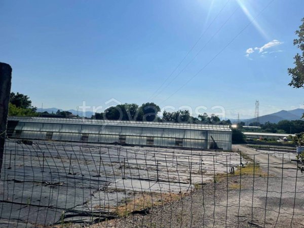 terreno agricolo in vendita ad Albenga in zona Salea