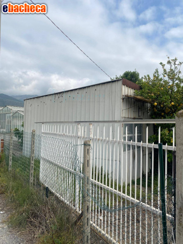 terreno agricolo in vendita ad Albenga in zona Campochiesa