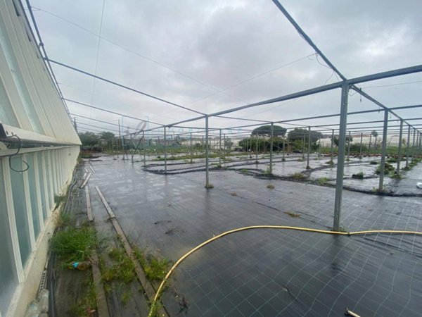 terreno agricolo in vendita ad Albenga in zona Campochiesa