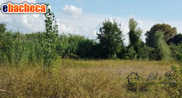 terreno agricolo in vendita ad Albenga