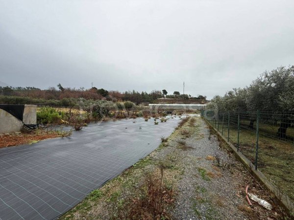 terreno agricolo in vendita ad Albenga in zona Campochiesa