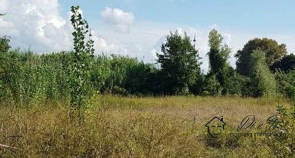 terreno agricolo in vendita ad Albenga