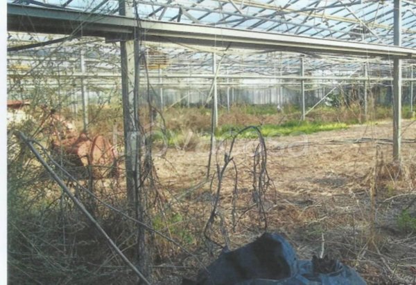 terreno agricolo in vendita ad Albenga in zona Campochiesa