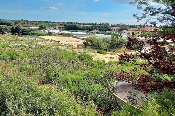 terreno agricolo in vendita ad Albenga in zona Campochiesa