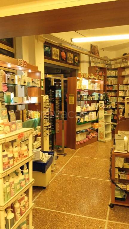 quadrivano in vendita ad Albenga