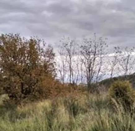 appartamento in vendita ad Albenga