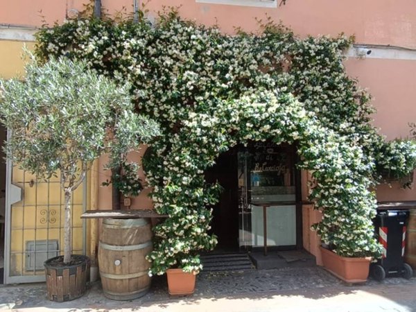 negozio in vendita ad Albenga