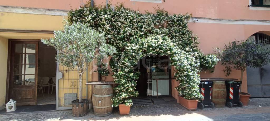negozio in vendita ad Albenga