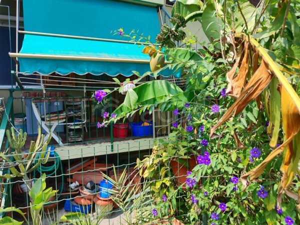casa indipendente in vendita ad Albenga in zona San Fedele