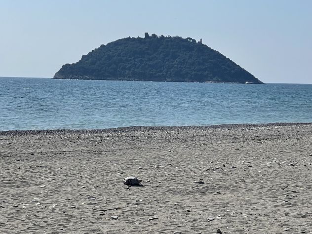 negozio in vendita ad Albenga