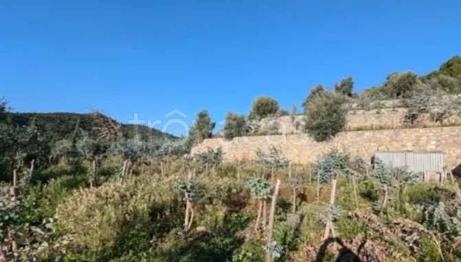 terreno agricolo in vendita ad Albenga