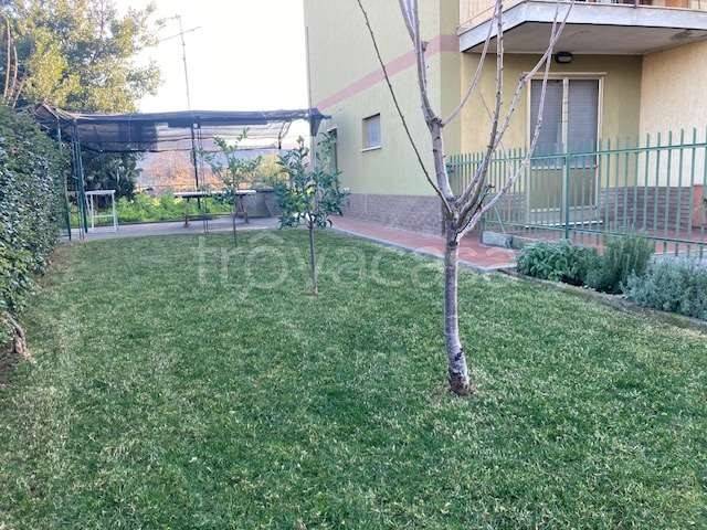 appartamento in vendita ad Albenga