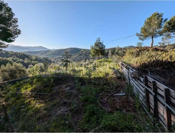 terreno agricolo in vendita ad Albenga
