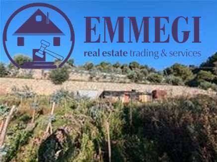 terreno agricolo in vendita ad Albenga