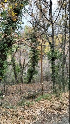 casa indipendente in vendita ad Albenga