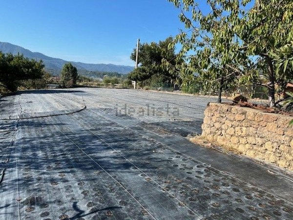 terreno agricolo in vendita ad Albenga