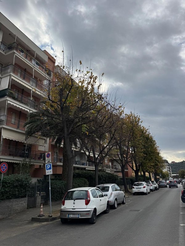 appartamento in vendita ad Albenga