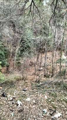 appartamento in vendita ad Albenga