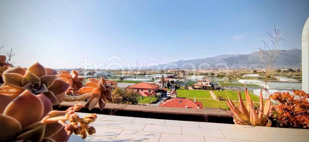 appartamento in vendita ad Albenga