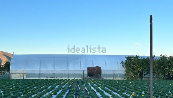terreno agricolo in vendita ad Albenga