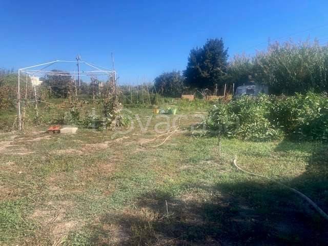terreno agricolo in vendita ad Albenga in zona Vadino