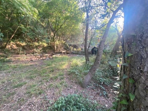 terreno agricolo in vendita ad Albenga in zona San Fedele