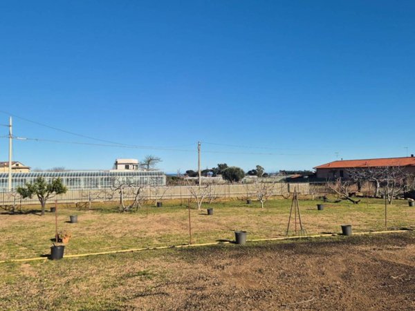 terreno agricolo in vendita ad Albenga in zona Leca