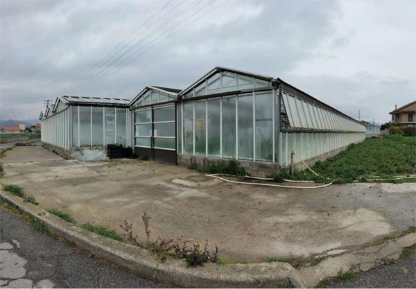 terreno agricolo in vendita ad Albenga